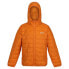 Фото #3 товара REGATTA Hillpack Junior jacket