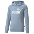 Фото #1 товара PUMA Essentials Logo Fl sweatshirt