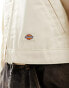 Dickies unlined cropped eisenhower jacket in cream