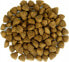 Фото #5 товара Biofeed BIOFEED Euphoria G-F psy MID&MAXI jagnięcina 12kg