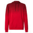 Фото #2 товара OAKLEY APPAREL Fade Away hoodie