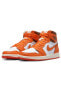 Air Jordan 1 Retro High OG Starfish do9369-101