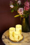Фото #3 товара Настольная офисная лампа Pauleen LED-свеча Golden Feather в наборе из 3 шт.