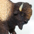 SAFARI LTD North American Bison Figure From 3 Years - фото #7