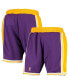 ფოტო #1 პროდუქტის Men's Purple Los Angeles Lakers 1996-1997 Hardwood Classics Throwback Authentic Shorts