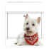 Фото #4 товара Почтовый ящик banjado Briefkasten Stahl Westie