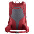 Фото #2 товара SALOMON Trailblazer 30L backpack