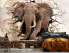 Фото #4 товара Vlies Fototapete 3D Elefant Tiere