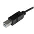 Фото #1 товара STARTECH -B-C 1 m USB Cable