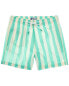 Фото #1 товара Плавки для мужчин Trunks Surf & Swim Co. Sano Swim Short в мятном цвете