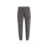 Фото #1 товара O'Neill Future Surf Society Jogger M 92800613481 pants