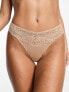 Фото #1 товара Ann Summers Sexy lace thong in light beige