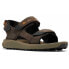 Фото #1 товара COLUMBIA Trailstorm™ Hiker 3 sandals