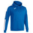 Фото #1 товара JOMA Champpionship IV hoodie