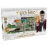 Фото #1 товара HARRY POTTER Fantastic Animals Board Game