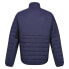 Фото #4 товара REGATTA Halton VII jacket