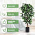 Фото #5 товара Искусственный цветок costway Кустарник Ficus 180 см