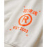 Фото #6 товара SUPERDRY Utility Sport Logo Loose hoodie