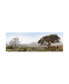 Фото #1 товара Alan Blaustein Sonoma Oak Trees No. 1 Canvas Art - 15.5" x 21"