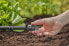 Фото #2 товара Gardena Plug - Pipe end plug - Drip irrigation system - Plastic - Black - Female - 13 mm