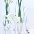 Flower Sprig Vase, klar