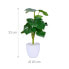 Kunstpflanze Monstera 2er Set