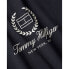 ფოტო #3 პროდუქტის TOMMY HILFIGER WW0WW41761 short sleeve T-shirt