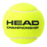 HEAD RACKET Championship Tennis Balls