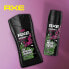 Axe Wild Fresh Bergamot & Pink Pepper 250 ml duschgel für Herren