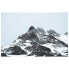 Фото #1 товара Leinwandbild Schneebedeckte Gipfel