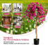 Фото #7 товара 135 cm Kunstbaum mit Blüten