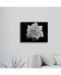 Фото #3 товара Kurt Shaffer Gardenia in Black and White Floating Brushed Aluminum Art - 22" x 25"