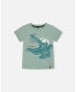 Boy Organic Cotton T-Shirt With Print Sage Green - Child