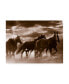 Фото #1 товара Monte Nagler Running Horses and Sunbeams Rothbury Michigan Canvas Art - 37" x 49"