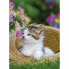 Фото #2 товара Головоломка Ravensburger Kittens 2 x 500 Предметы
