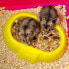 ფოტო #8 პროდუქტის FERPLAST Laura Hamster Cage