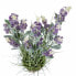 Фото #3 товара Kunstblumen Lavendel in brauner Topf