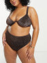 South Beach Curve Exclusive high waist bikini bottom in brown metallic