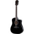 Taylor 250ce-BLK Plus