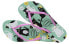 Тапочки Havaianas SlimPets 4132567-7611