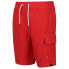 REGATTA Hotham IV Swimming Shorts