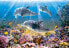 Фото #2 товара Пазл Castorland Дельфины под водой 500 элементов (52547)