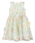 Little Girls Sleeveless 3D Floral Embroidered Social Dress