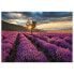 Фото #1 товара Leinwandbild Lavender Fields