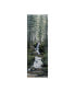 Фото #1 товара Картина холст Jeff Tift 'Водопадные Волки' от Trademark Global 6" x 19"