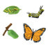 SAFARI LTD Life Cycle Of A Monarch Butterfly Figure