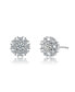 Фото #1 товара White Gold Plated with Cubic Zirconia Snowflake Cluster Stud Earrings
