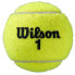 WILSON Roland Garros All Court Bipack Tennis Balls