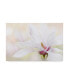 Фото #1 товара Картина на холсте Trademark Global Jacky Parker 'Purity' - 32" x 22" x 2"