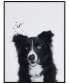 "Border Collie" Pet Paintings on Printed Glass Encased with A Black Anodized Frame, 24" x 18" x 1"